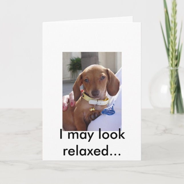 Louis 051, I may look relaxed. Card (Front)
