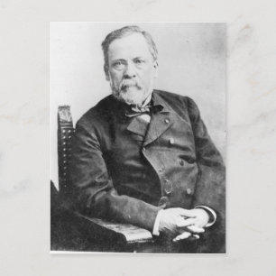 Louis Pasteur Postcard