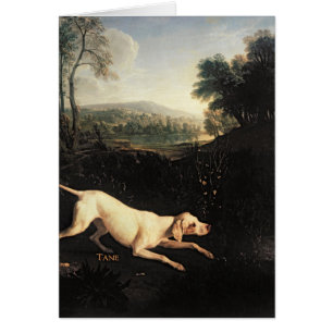 Louis XIV's Dog, Tane