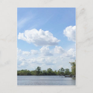 Louisiana Bayou Postcard