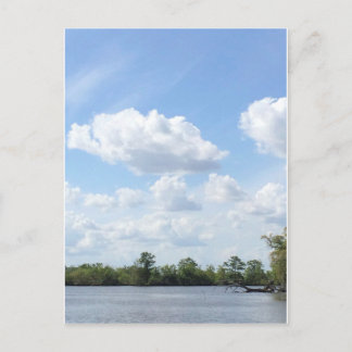 Louisiana Bayou Postcard