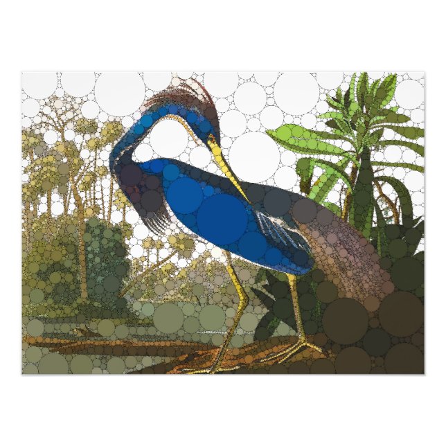 Louisiana Blue Heron by After John James Audubon Photo Print (Front)