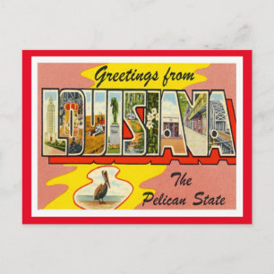 Louisiana Greetings Vintage Travel Postcard