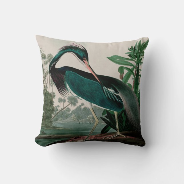 Louisiana Heron Birds of America Audubon Print Cushion (Front)