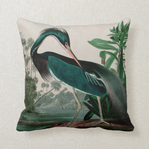 Louisiana Heron Birds of America Audubon Print Cushion