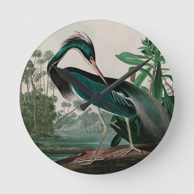 Louisiana Heron Birds of America Audubon Print Round Clock (Front)