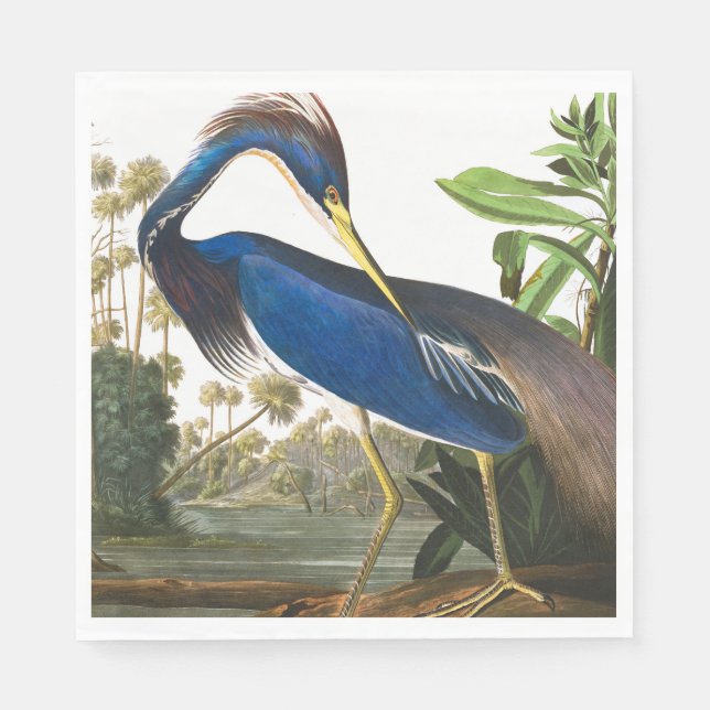 Louisiana Heron by John James Audubon Napkin (Front)