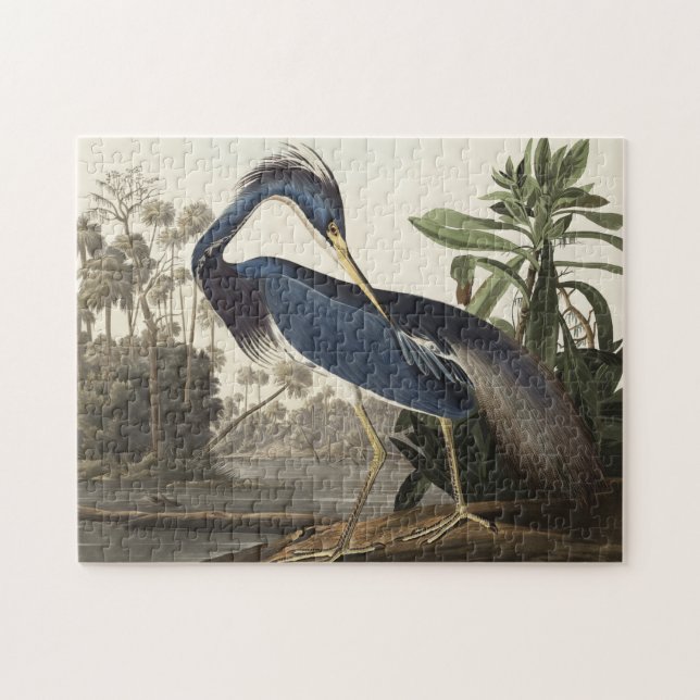 Louisiana Heron from Birds of America Jigsaw Puzzle (Horizontal)