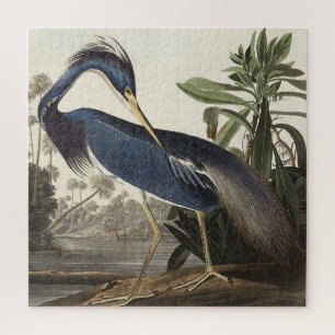 Louisiana Heron from Birds of America Jigsaw Puzzle