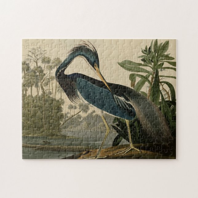 Louisiana Heron Jigsaw Puzzle (Horizontal)