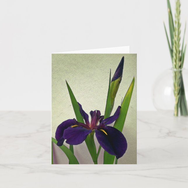 Louisiana Iris Note Card (Front)
