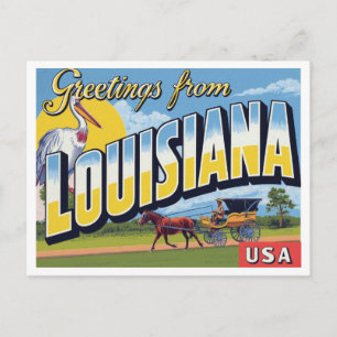 Louisiana Pelican Carriage Bayou Postcard