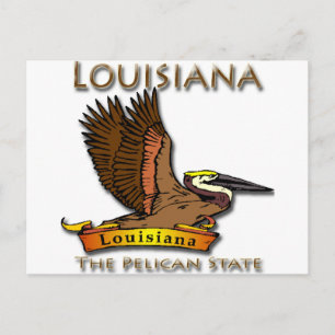 Louisiana Pelican State Pelican Postcard
