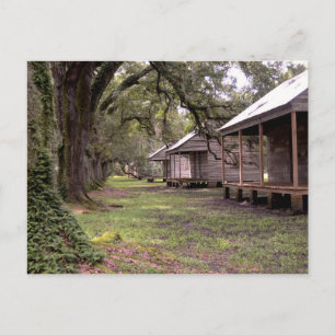 Louisiana Plantation Postcard