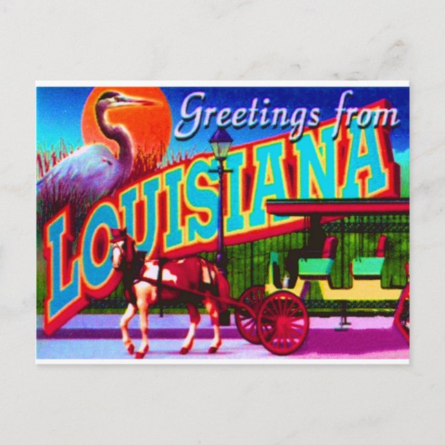 Louisiana Postcard (Front)