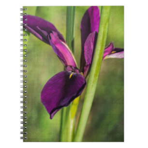 Louisiana Purple Gamecock Iris Notebook