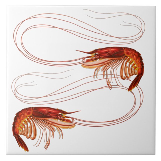 Louisiana Shrimp Ceramic Tile (Front)