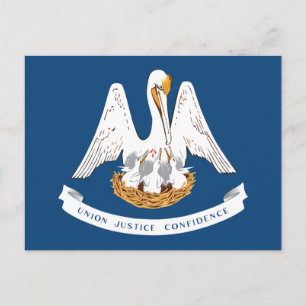 Louisiana State Flag Pelican State Motto Souvenir Postcard