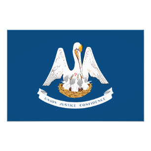Louisiana State Flag Photo Print