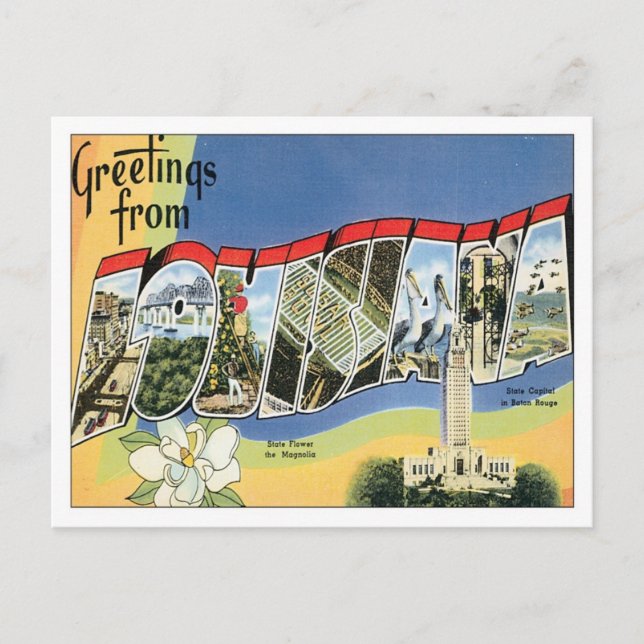 Louisiana States USA Postcard (Front)