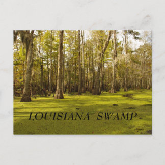 Louisiana Swamp (LA), LOUISIANA SWAMP Postcard