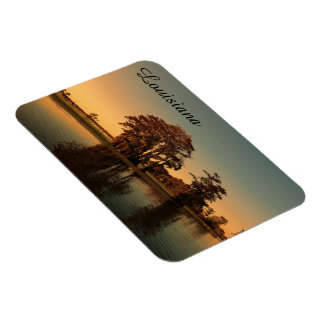 Louisiana swamp magnet