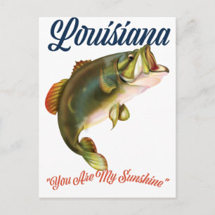 Louisiana "you are my Sunshine" Postcard