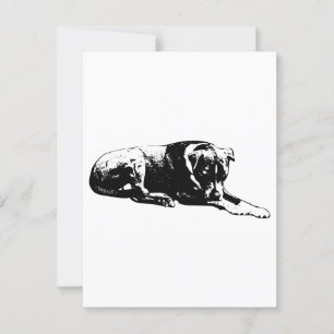 Lounge Dog Postcard