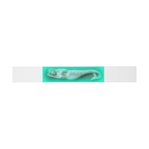 lounging green mermaid invitation belly band
