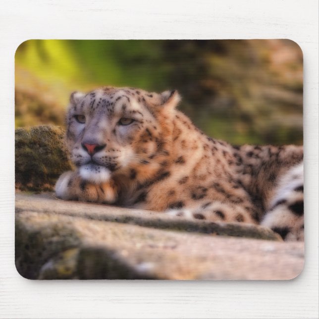 Lounging Leopard Mouse Pad (Front)