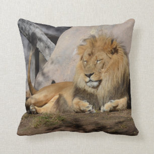 Lounging Lion Cushion