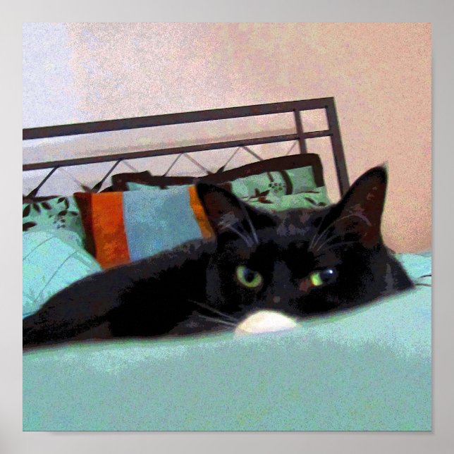 Lounging Lucy CB Poster (Front)