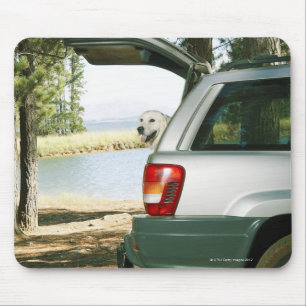 Lourensford, Somerset West, South Africa Mouse Pad