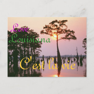 Lousiana/Atchafalaya Basin Postcard