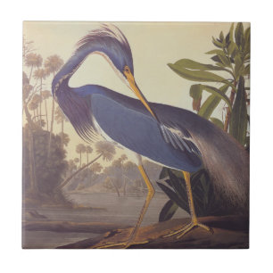 Lousiana Heron in Grey, Green, and Blue by Audubon Ceramic Tile