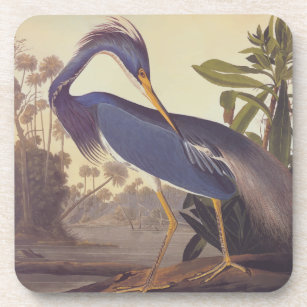 Lousiana Heron in Grey, Green, and Blue by Audubon Coaster