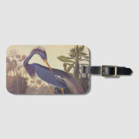 Lousiana Heron in Grey, Green, and Blue by Audubon