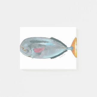 louvar fish post-it notes