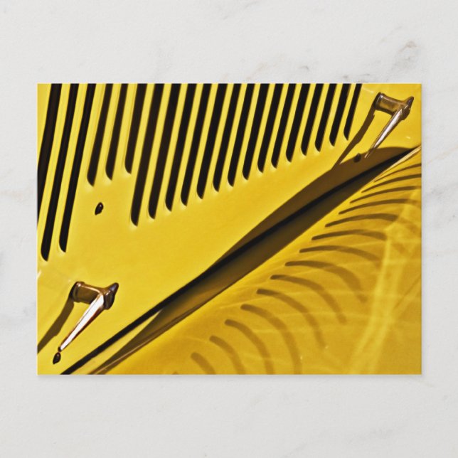 Louvers Reflected Postcard (Front)