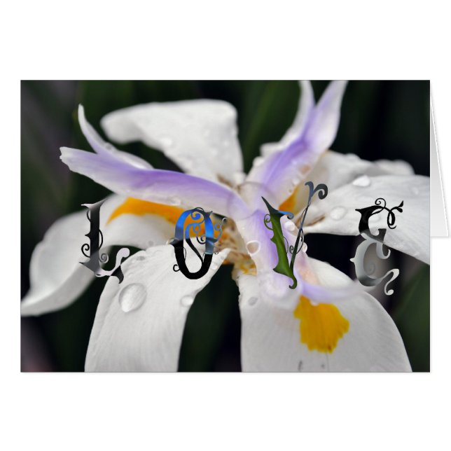 Love (Front Horizontal)