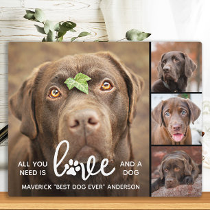 LOVE & a DOG Personalised Dog Lover Photo Collage  Plaque