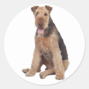Love Airedale Terrier Puppy Dog Sticker
