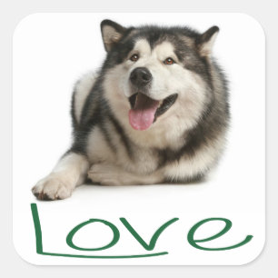 Love Alaskan Malamute Puppy Dog Sticker / Seal