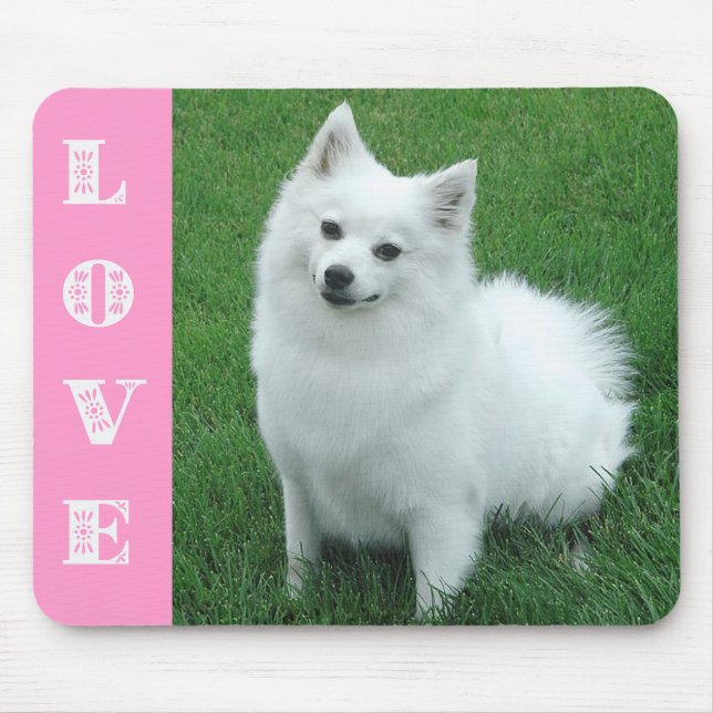 Love American Eskimo Puppy Dog Mousepad (Front)