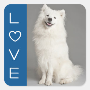 Love American Eskimo Puppy Dog Sticker / Label