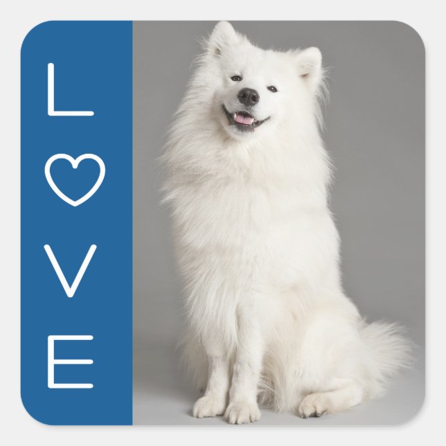 Love American Eskimo Puppy Dog Sticker / Label (Front)