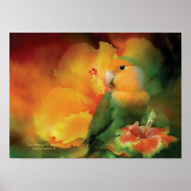 Love Among The Hibiscus Art Poster/Print Poster (Front)