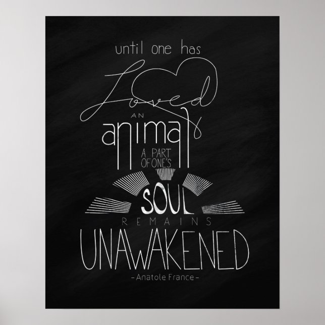 Love an Animal Anatole France Hand Lettered Poster (Front)