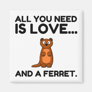 LOVE AND A FERRET MAGNET