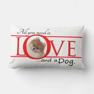 Love and a Pomeranian Pillow